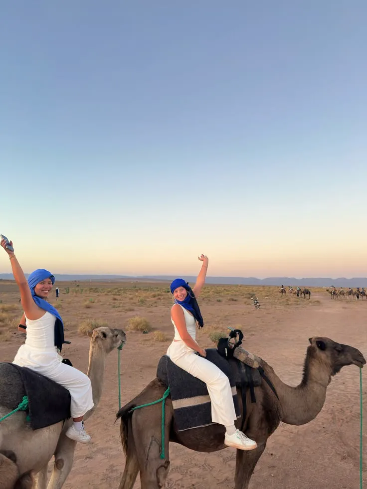 Camel Experience